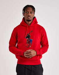 Red Hoodie